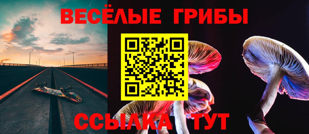 Кисловодск  Псилоцибиновые грибы MAGIC MUSHROOMS  Вход с VPN  Галлюциногенные грибы Psilocybine cubensis 